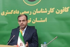 ارزیابی بخش عمده اموال بانک آینده انجام شده است