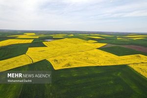 رفع مانع حدنصاب صدور سند تک‌برگ اراضی کشاورزی