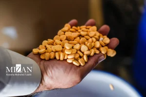 کارشناس پزشکی قانونی: در بروز مسمومیت‌ها از هرگونه خوددرمانی فرد مسموم پرهیز شود